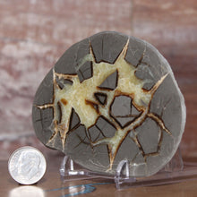 Load image into Gallery viewer, Septarian Geode End - Unsurpassed Crystalline Beauty
