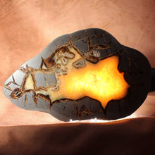 Load image into Gallery viewer, Septarian Dragon Stone Geode Cross Section
