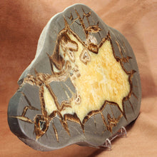 Load image into Gallery viewer, Septarian Dragon Stone Geode Cross Section
