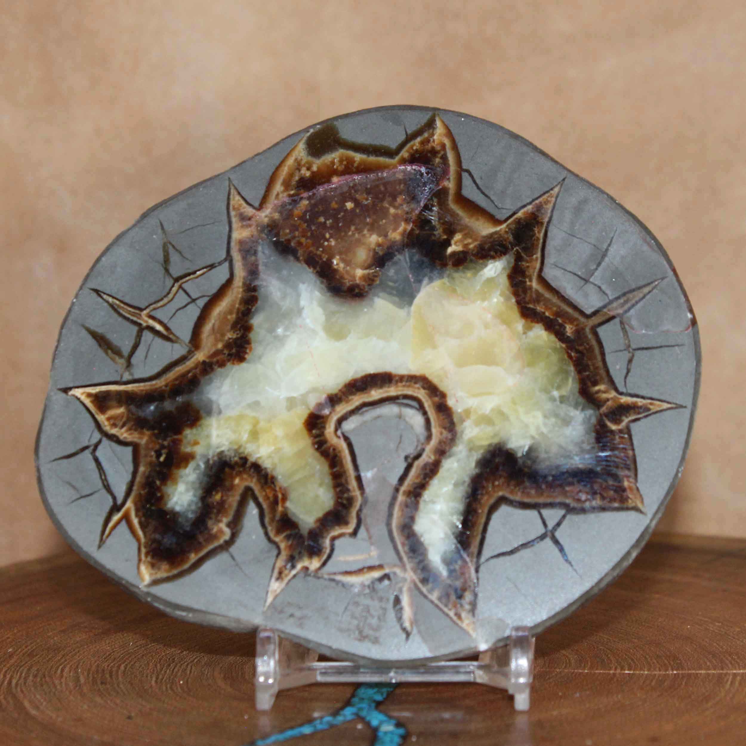 Utah Geodes Septarian Display Geode - Utah USA - Aragonite Calcite Limestone