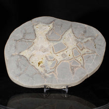 Load image into Gallery viewer, Septarian Dragon Stone Geode - Large Cross Section
