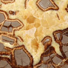 Load image into Gallery viewer, Septarian Dragon Stone Geode - Large Cross Section
