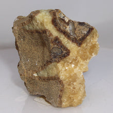 Load image into Gallery viewer, Septarian Geode Section - Raw Amber Aragonite
