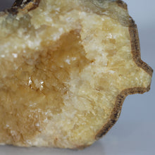 Load image into Gallery viewer, Septarian Geode Section - Raw Amber Aragonite

