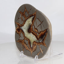 Load image into Gallery viewer, Septarian Display Geode - Golden Calcite Crystal
