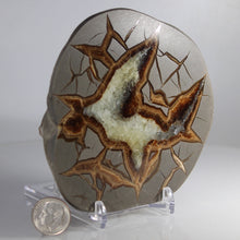 Load image into Gallery viewer, Septarian Display Geode - Golden Calcite Crystal
