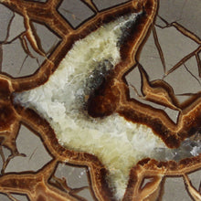 Load image into Gallery viewer, Septarian Display Geode - Golden Calcite Crystal

