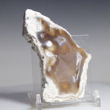 Load image into Gallery viewer, Tamp Bay Geode Coral Open Chamber
