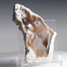 Load image into Gallery viewer, Tamp Bay Geode Coral Open Chamber
