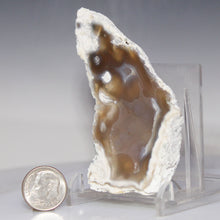 Load image into Gallery viewer, Tamp Bay Geode Coral Open Chamber
