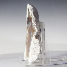 Load image into Gallery viewer, Tamp Bay Geode Coral Open Chamber
