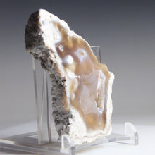 Load image into Gallery viewer, Tamp Bay Geode Coral Open Chamber
