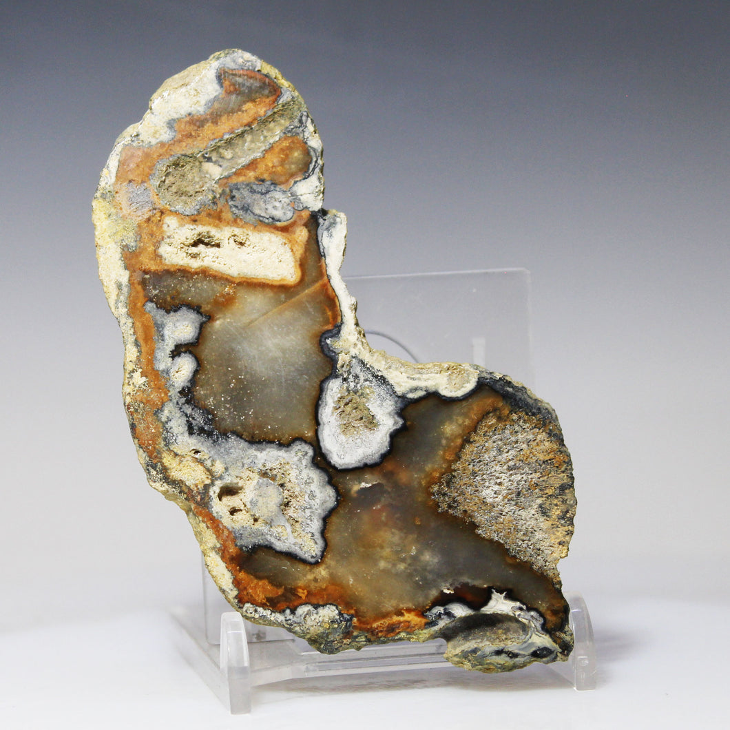 Tamp Bay Geode Coral Agate Half