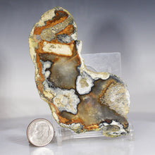 Load image into Gallery viewer, Tamp Bay Geode Coral Agate Half
