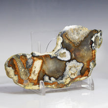 Load image into Gallery viewer, Tamp Bay Geode Coral Agate Half

