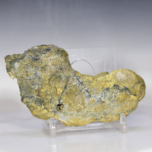 Load image into Gallery viewer, Tamp Bay Geode Coral Agate Half
