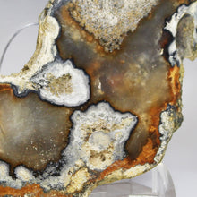 Load image into Gallery viewer, Tamp Bay Geode Coral Agate Half
