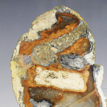Load image into Gallery viewer, Tamp Bay Geode Coral Agate Half
