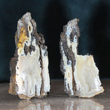 Load image into Gallery viewer, Tamp Bay Geode Coral Pair - Yellow White Interior
