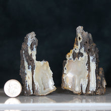 Load image into Gallery viewer, Tamp Bay Geode Coral Pair - Yellow White Interior
