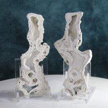 Load image into Gallery viewer, Tamp Bay Fossil Coral Pair - White Crystal Chambers
