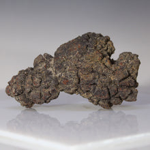 Load image into Gallery viewer, Madagascar Fossil Tortoise Poop

