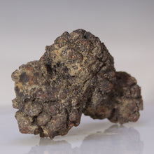 Load image into Gallery viewer, Madagascar Fossil Tortoise Poop
