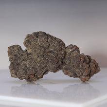 Load image into Gallery viewer, Madagascar Fossil Tortoise Poop

