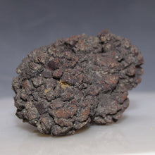 Load image into Gallery viewer, Tortoise Fossil Feces - Madagascar Original
