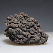Load image into Gallery viewer, Tortoise Fossil Feces - Madagascar Original
