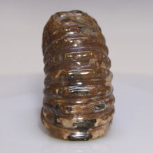 Load image into Gallery viewer, Douvilleiceras Tractor Ammonite - Melted Chocolate Shell
