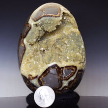 Load image into Gallery viewer, Geode Septarian crystal 
