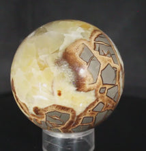 Load and play video in Gallery viewer, Septarian Geode Sphere with Highly Evolved Alligator Skin Pattern
