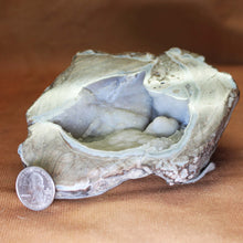Load image into Gallery viewer, Soft Blue Dugway Geode.
