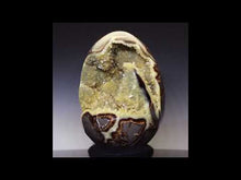 Load and play video in Gallery viewer, Geode 2 Pound Septarian Egg - Highest Quality Utah Crystal
