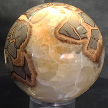 Load image into Gallery viewer, Septarian Geode Sphere with Highly Evolved Alligator Skin Pattern
