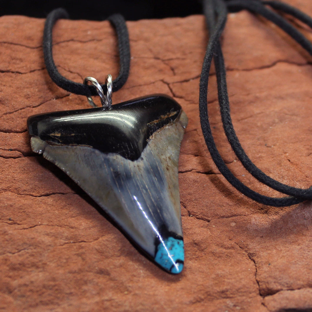 Great White Fossil Tooth Pendant Turquoise Inlay Jewelry